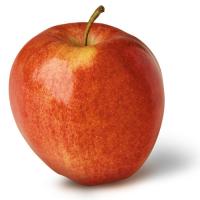 gala apple