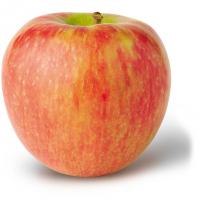 honeycrisp apple