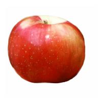 zestar apple