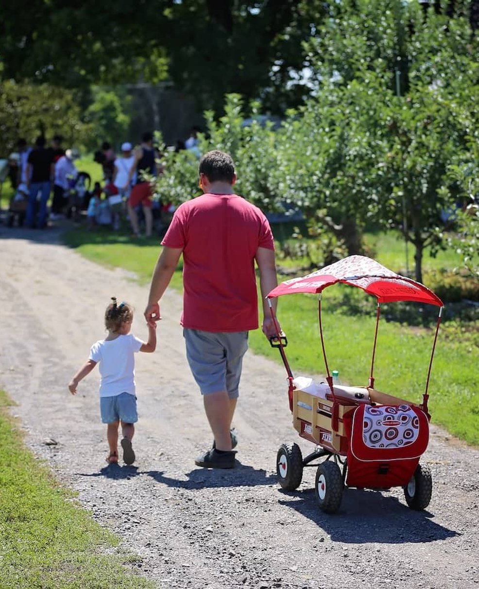 about lawrence farms orchards