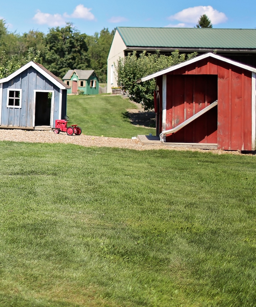 Birthday party at the orchard