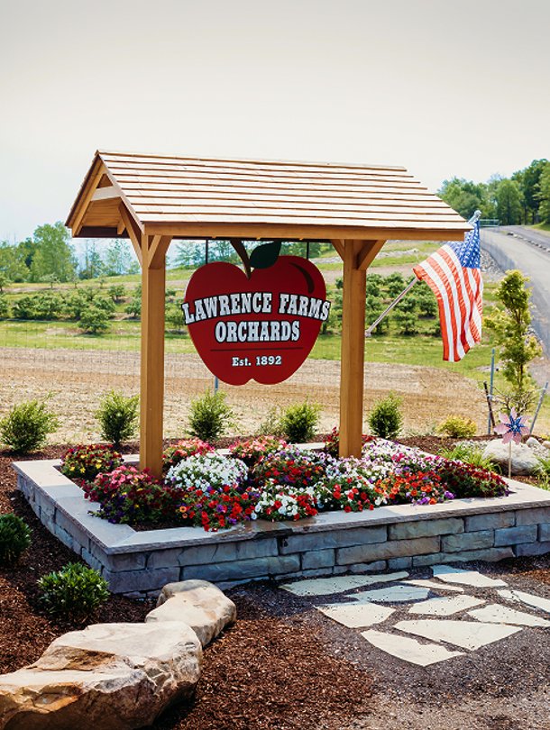 Orchard in the hudson valley