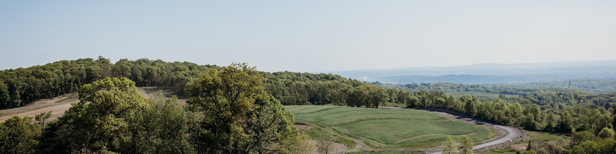 Lawrence Farms Orchards Landscape