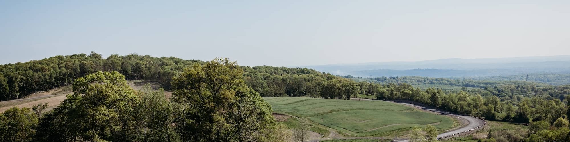 Lawrence Farms Orchards Landscape
