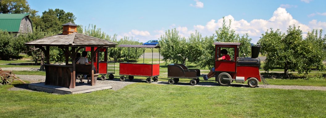Lawrence Farms Orchards