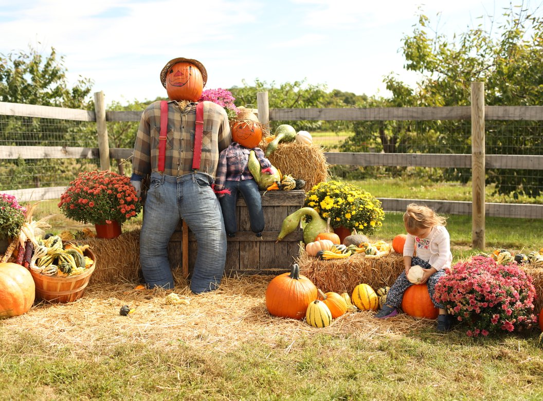 Lawrence Farms Orchards