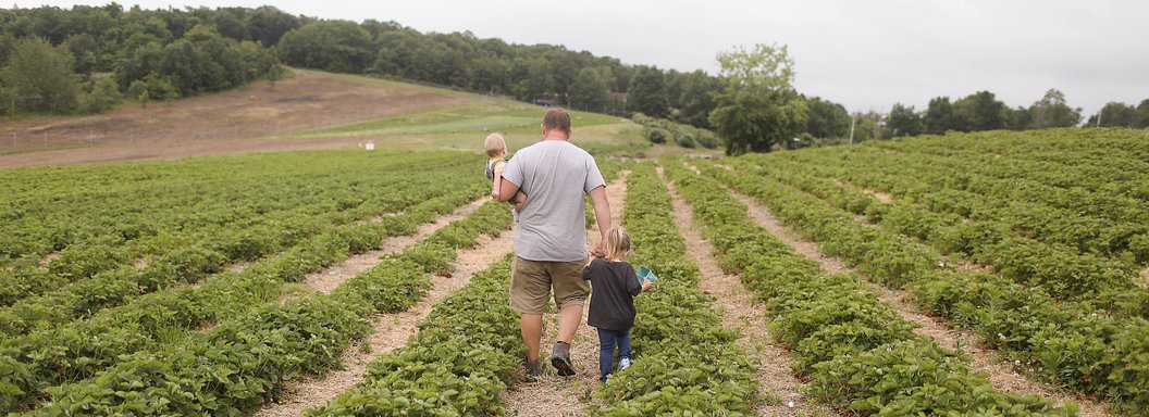 Lawrence Farms Orchards