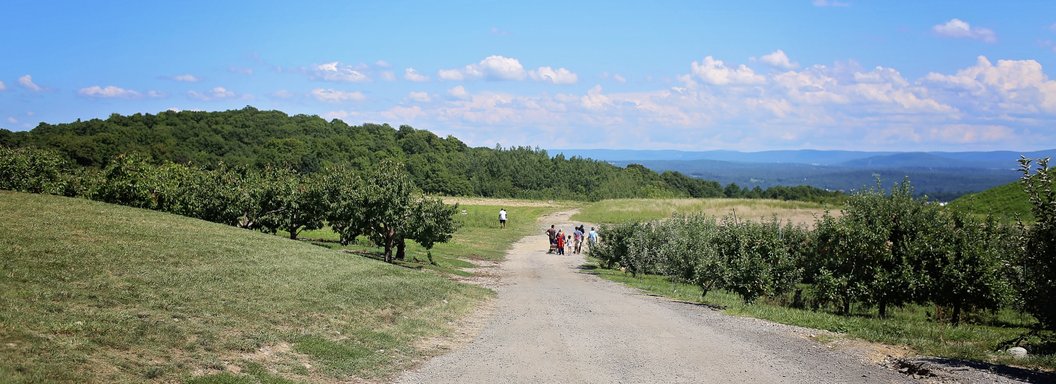 Lawrence Farms Orchards