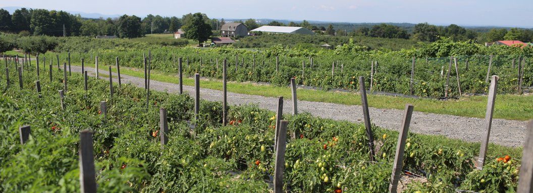 Lawrence Farms Orchards