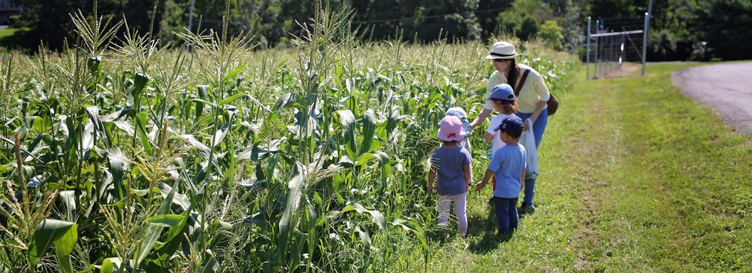 Lawrence Farms Orchards