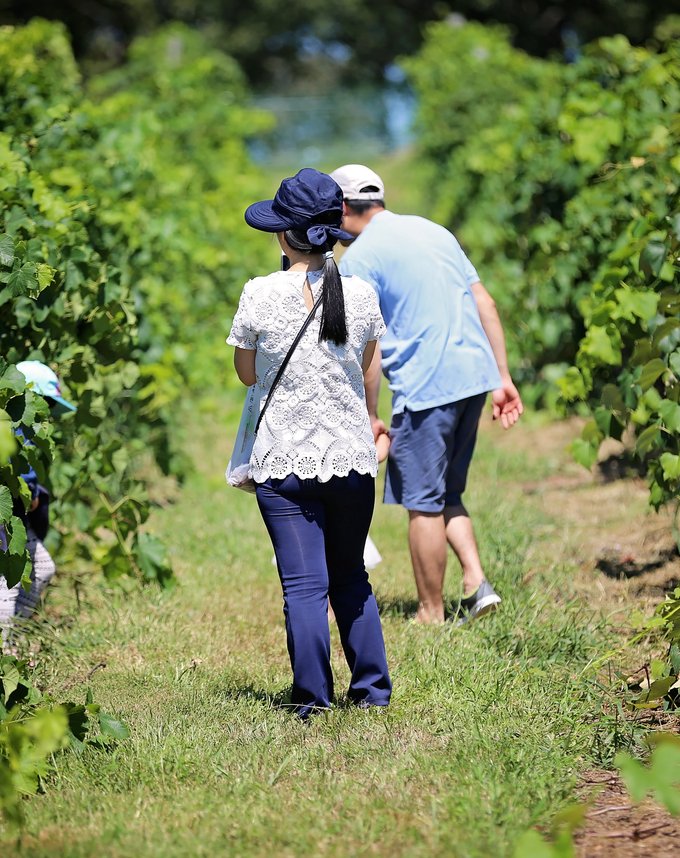 Lawrence Farms Orchards