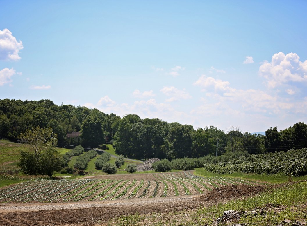 Lawrence Farms Orchards