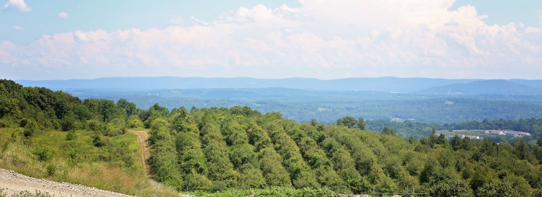 Lawrence Farms Orchards