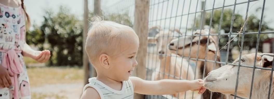 Lawrence Farms Orchards