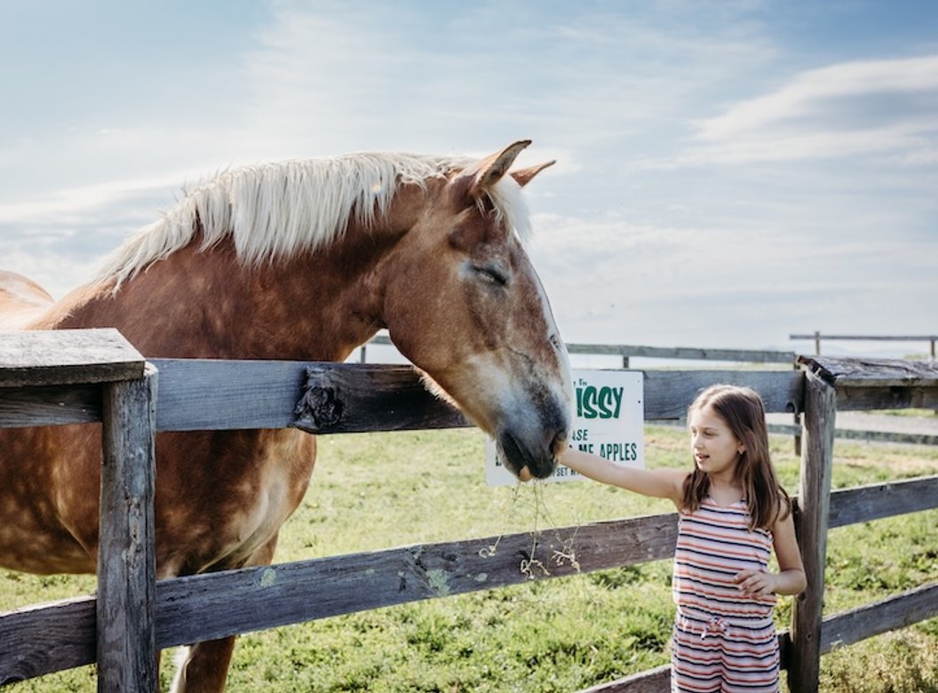 Lawrence Farms Orchards