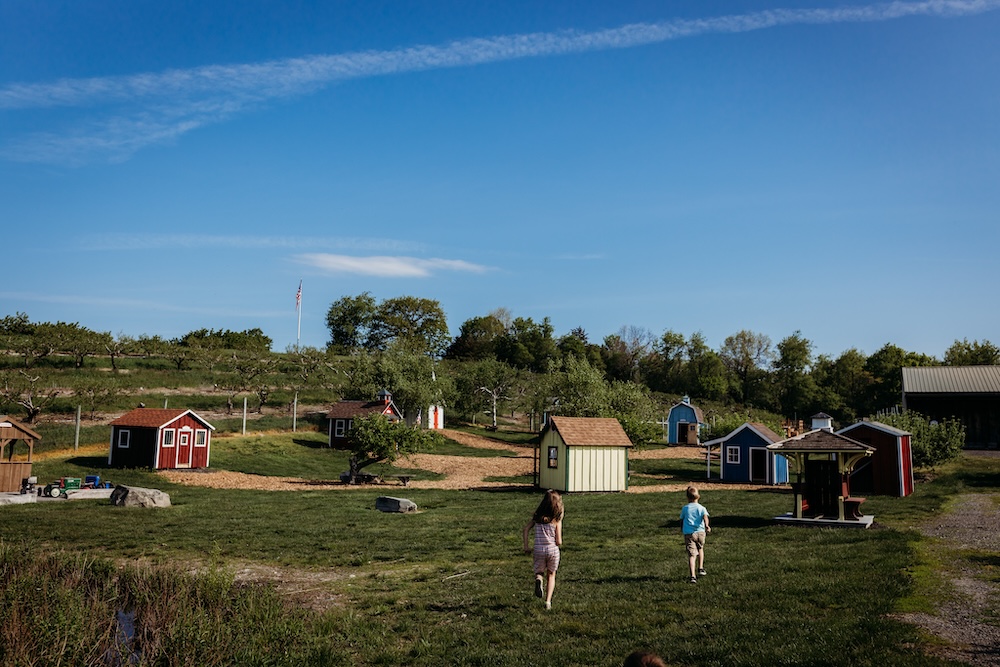 kids activities at the farm