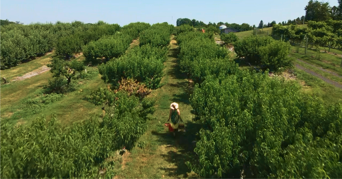 Farm Map & Directions | Lawrence Farms Orchards