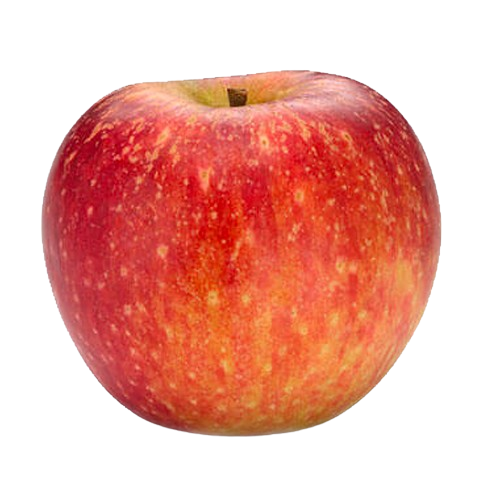 stayman winesap apple